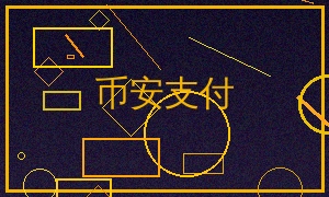 币安支付Binance Pay存取款